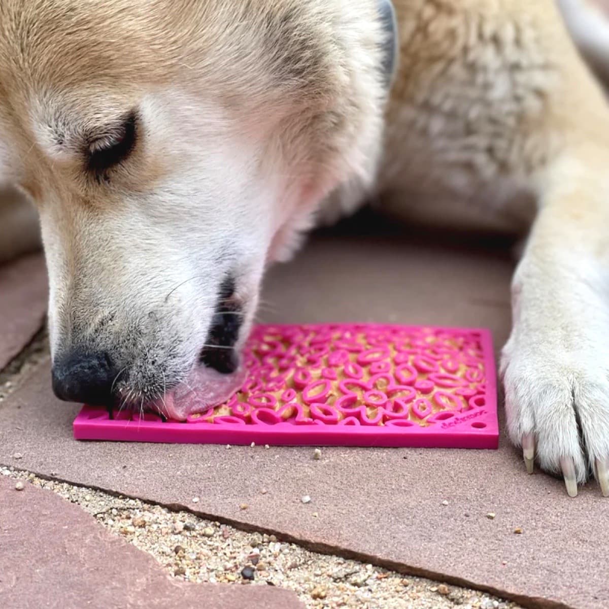 Dog Licking Flower Designed Feeding Mat