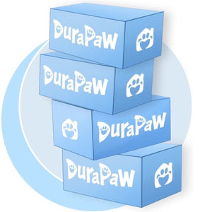 Dog Toy Subscription Box Canada