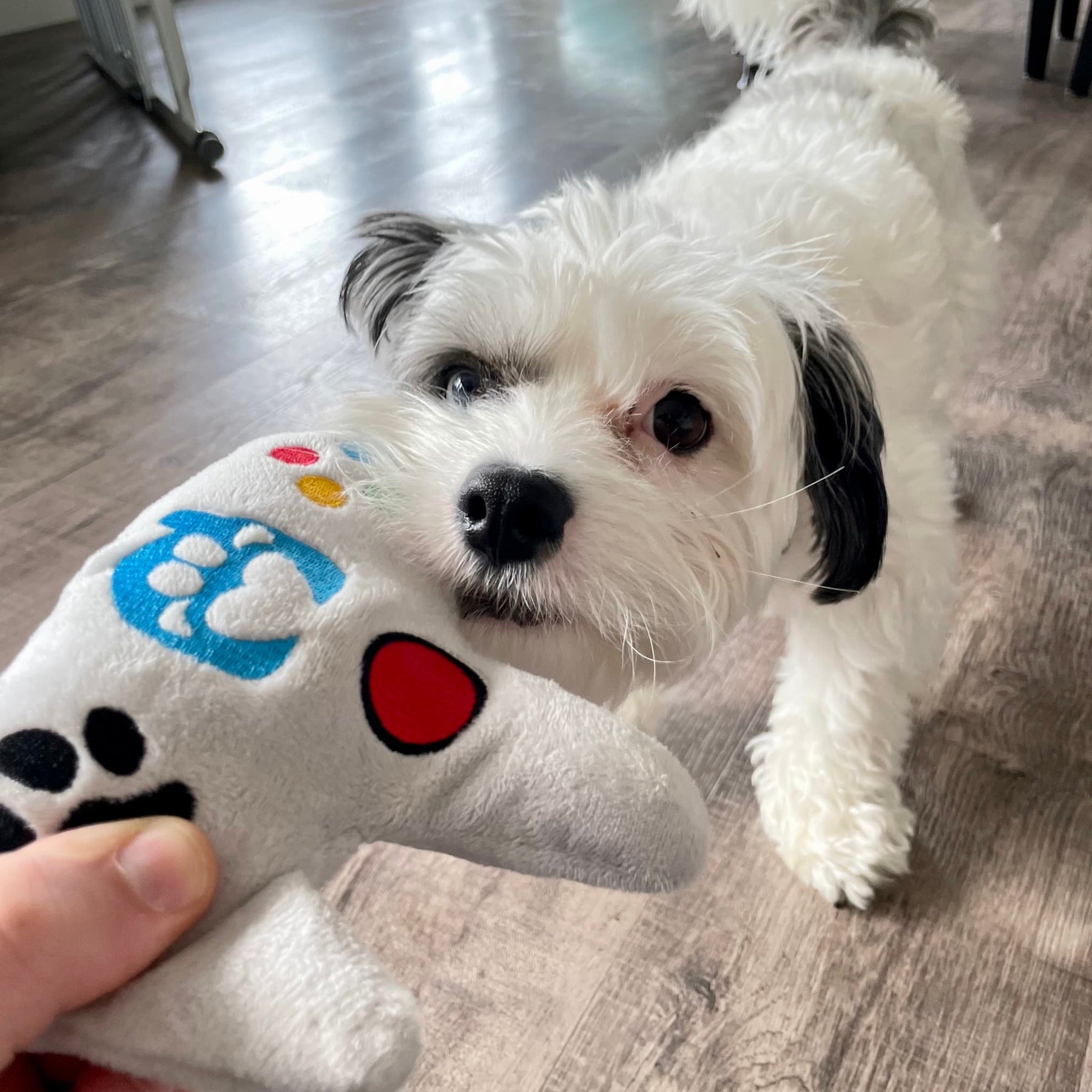 DuraPaw Dog Controller Plush Soft Fun Pet Toy Canada