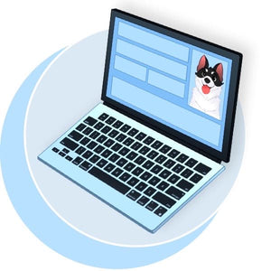 Doggy Subscription Box Canada Pet Profile