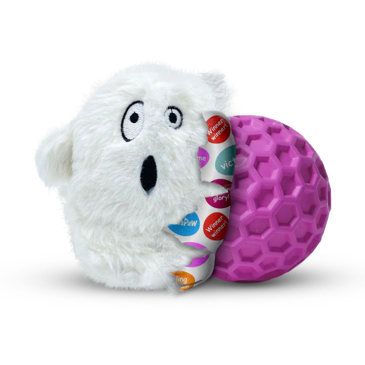 Dog toy with top a toy inside