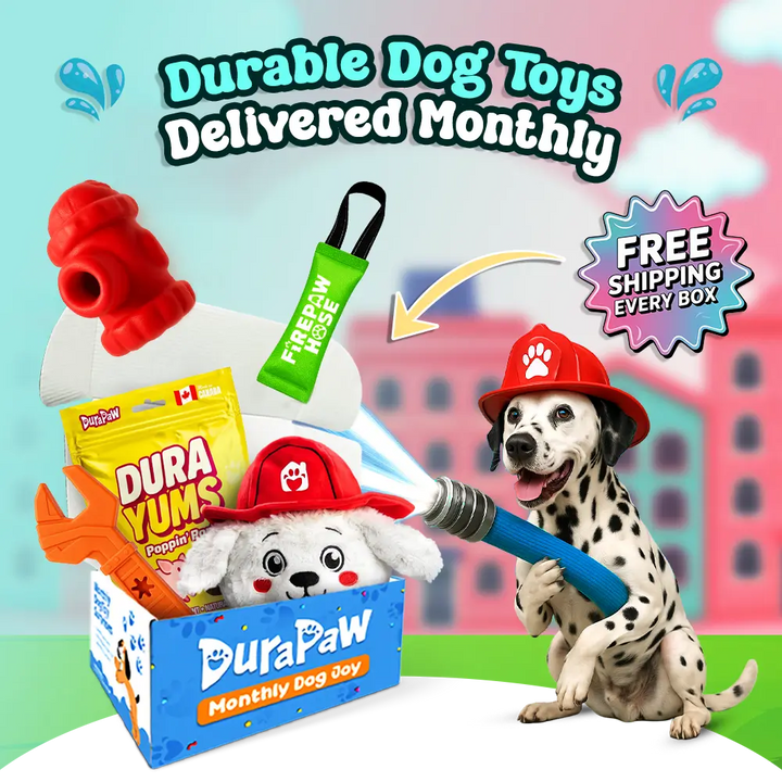 DuraPaw dog toy subscription box with dog toys and packaging, featuring dalmatian pet and DuraPaw brand.