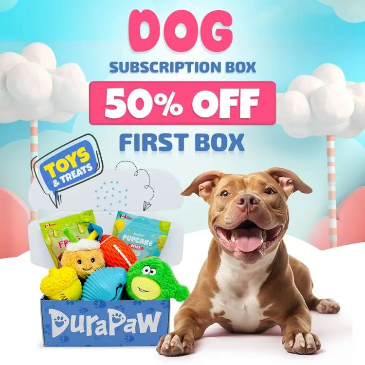 DuraPaw Monthly Themed Dog Toy Subscription Box Canada