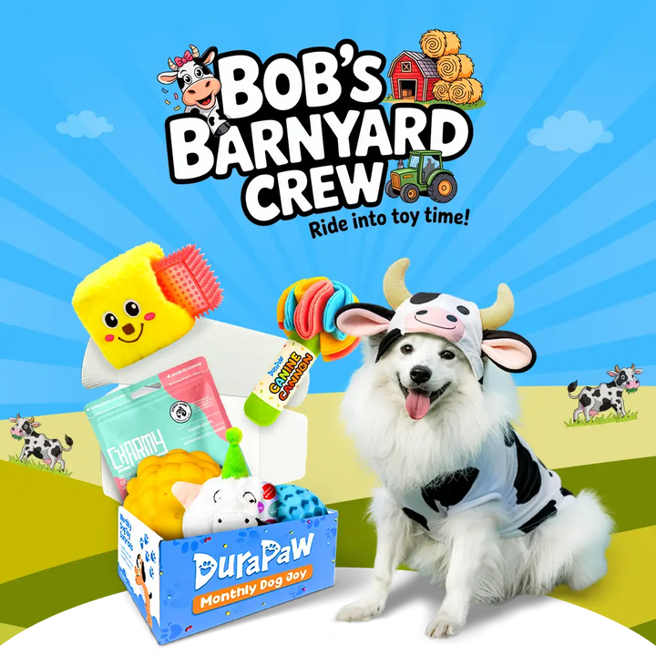 DuraPaw dog wearing a cow costume with 'Bob's Barnyard Crew' toys and packaging in the background