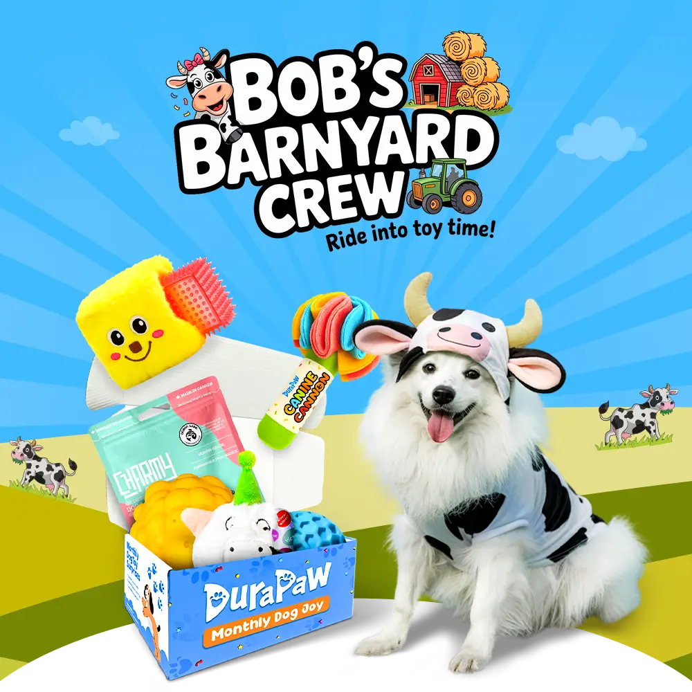 DuraPaw dog wearing a cow costume with 'Bob's Barnyard Crew' toys and packaging in the background
