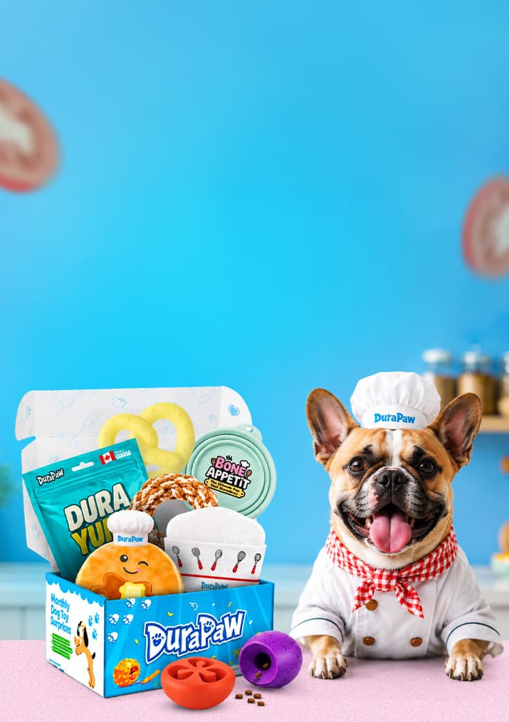 Bone Appétit: Fresh Out the Barkery