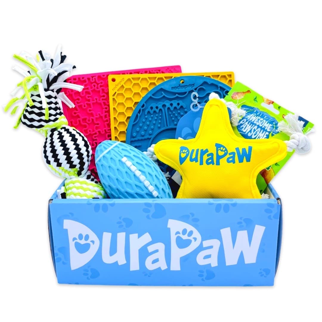 DuraPaw Build A Box Dog Toys