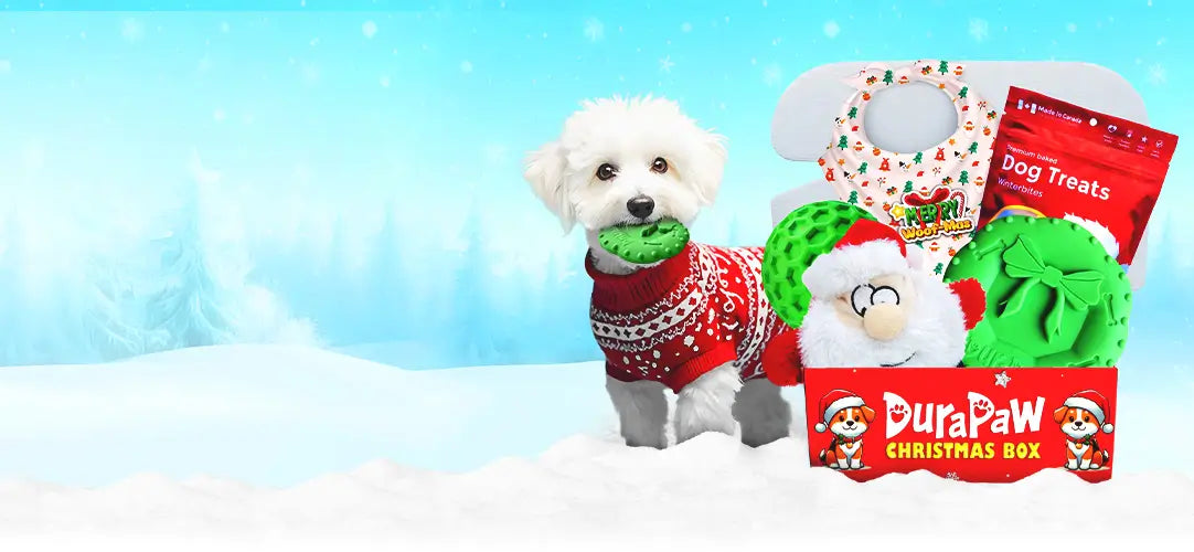 DuraPaw Christmas Dog Toy Treat Gift Box for Puppies