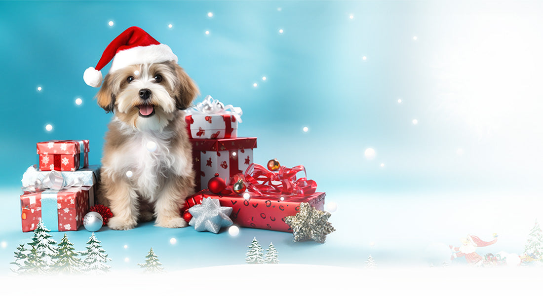 Christmas Dog Toy and Treat Gift Ideas Canada