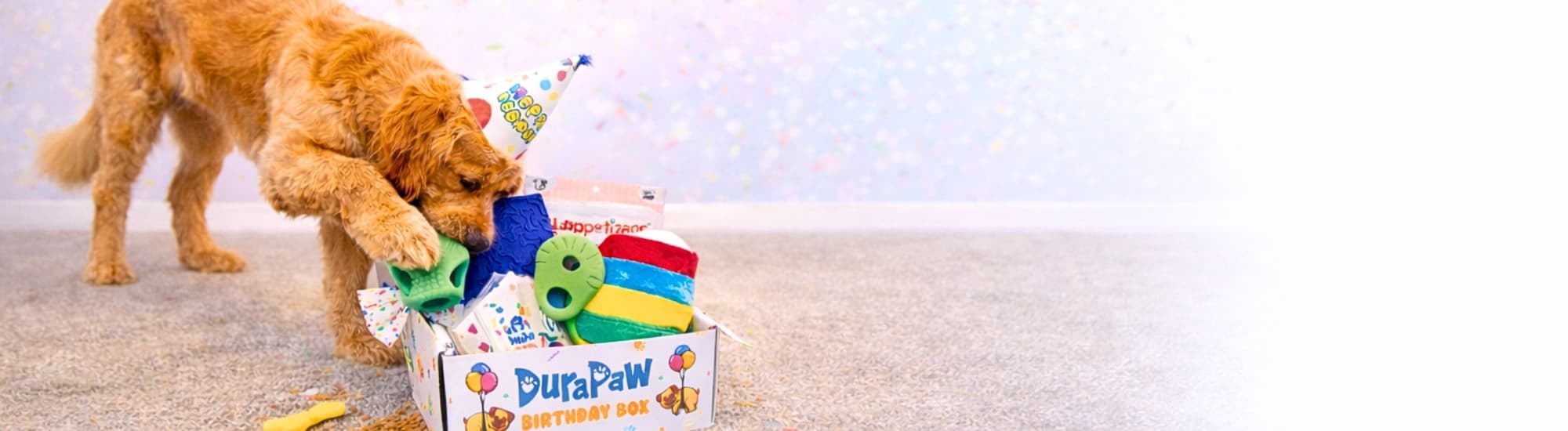 Dog opening a DuraPaw birthday box with colorful toys and a Happy Birthday banner in the background.