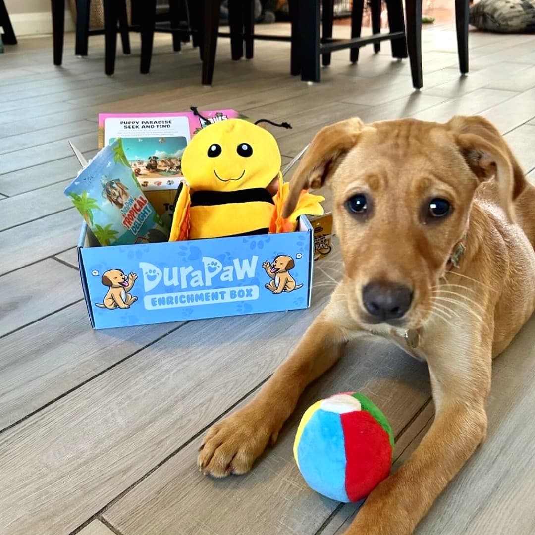 Puppy Unboxing DuraPaw Summer Bee Theme Dog Toy Subscription Box