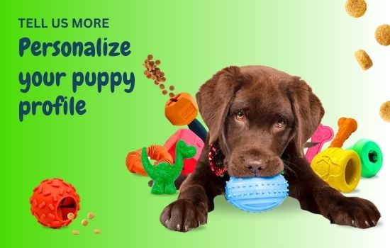 DuraPaw Dog Puppy Profile Customizations Monthly Subscription Box