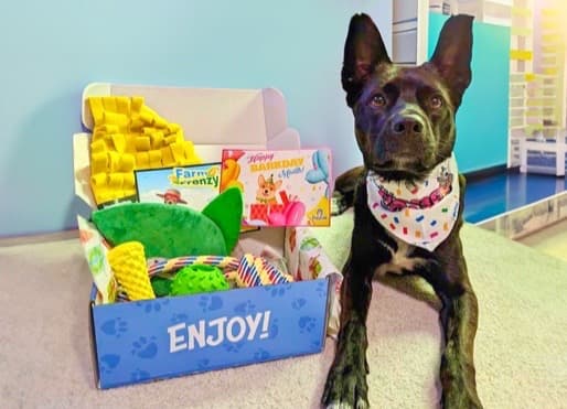 DuraPaw Dog Subscription Birthday Box Happy Pup