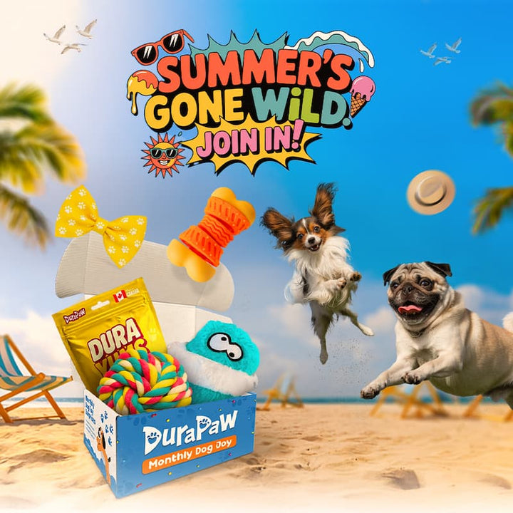 DuraPaw dog toy box with toys on a beach background and Summer's Gone Wild Logo