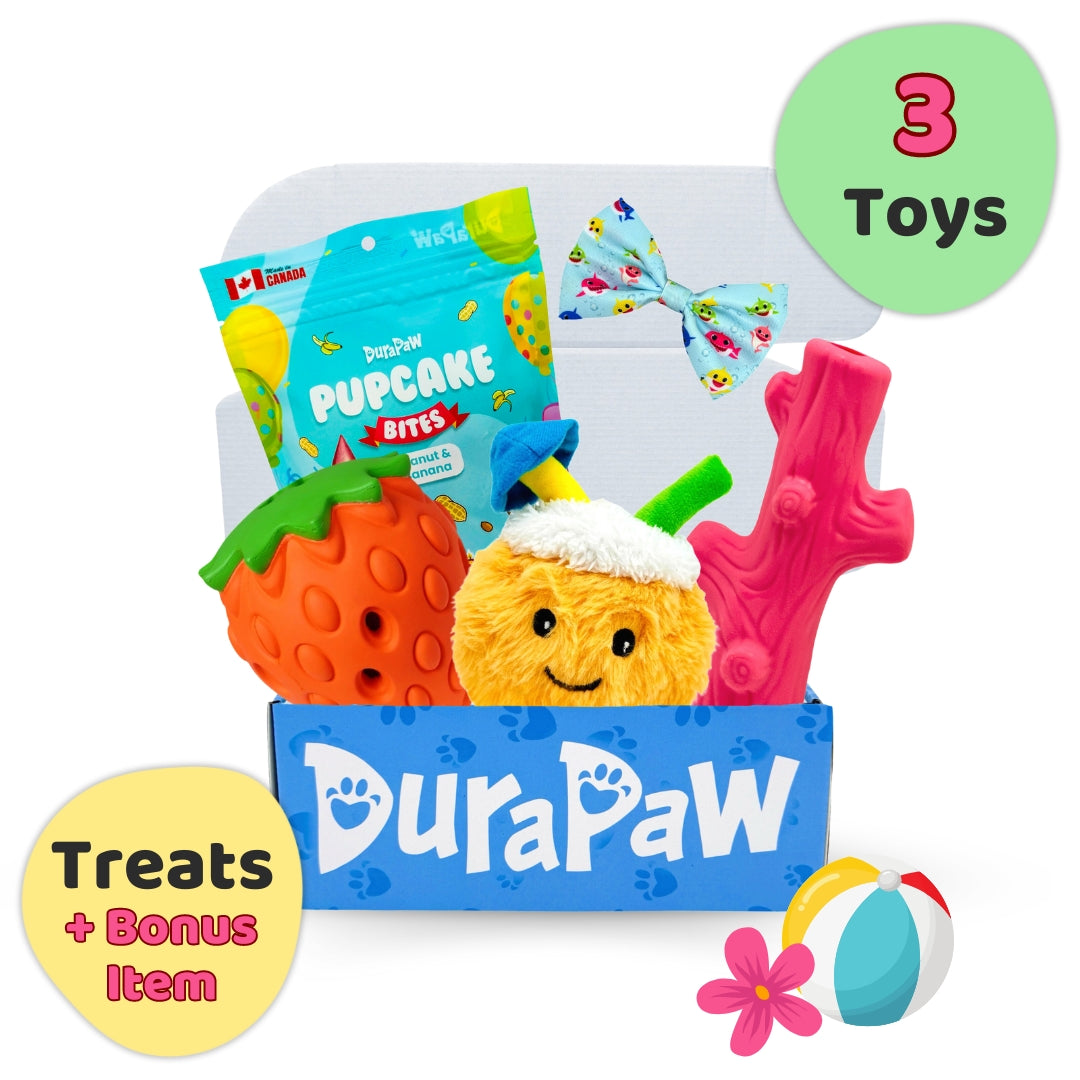 DuraPaw Dog Subscription Box Special Deals durapaw-dog-subscription-box-special-deals