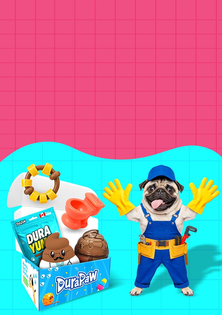 Doody on Duty Theme