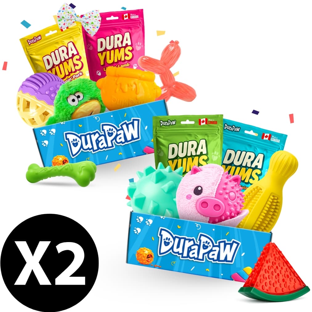 DuraPaw 2 boxes Double Your First Subscription box sale discount offer