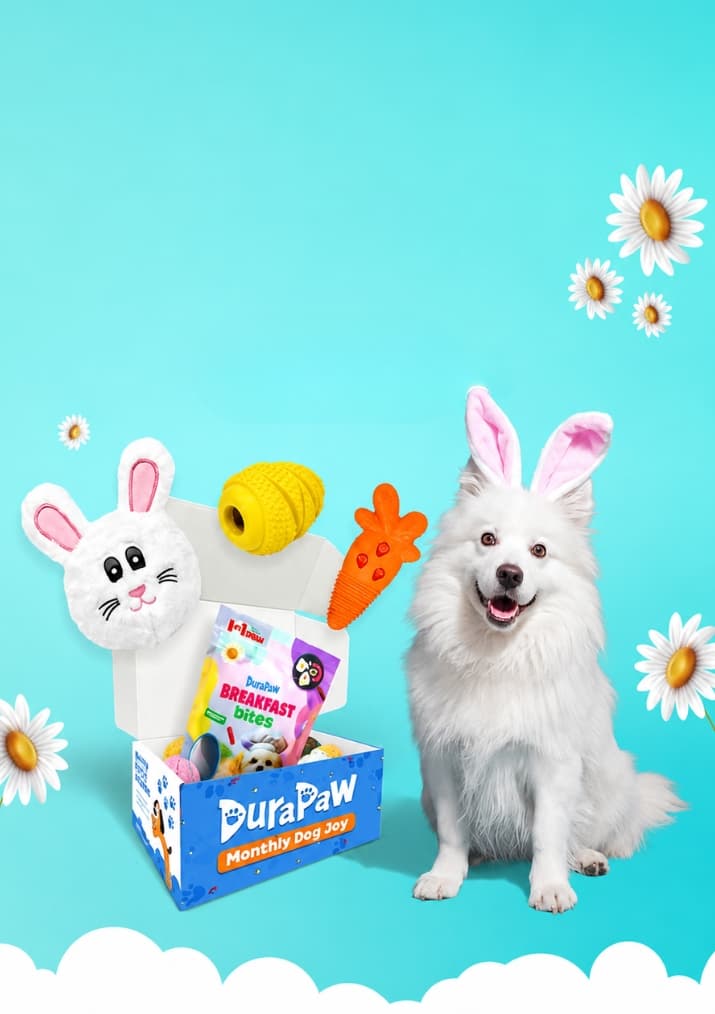 Hoppy Tails Easter Drop