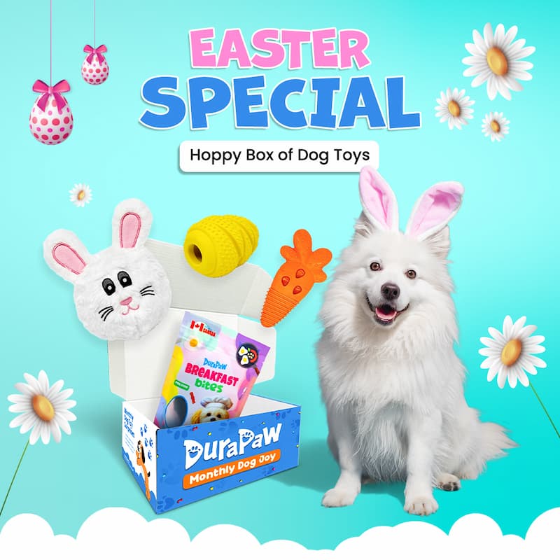 DuraPaw Easter Special Themed Monthly Dog Toy Subscription Box Canada