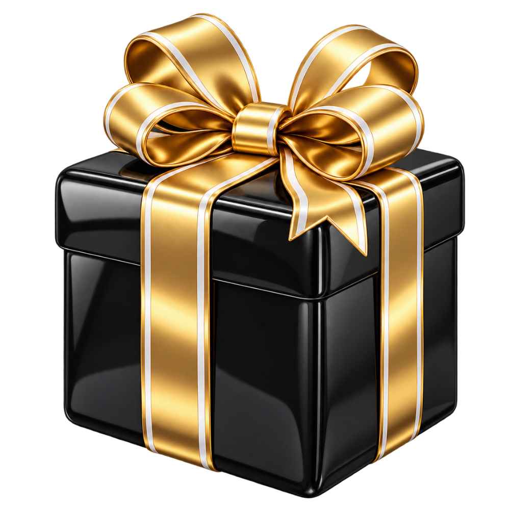FREE Black Friday Gift 🖤