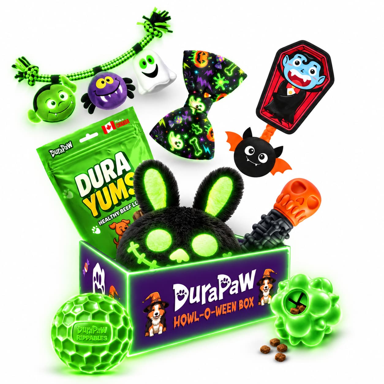 DuraPaw Halloween Dog Toy & Treat Box