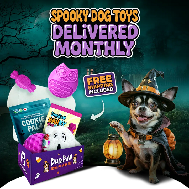 DuraPaw dog toy subscription box with Halloween-themed toys and a dog in a costume against a dark background.