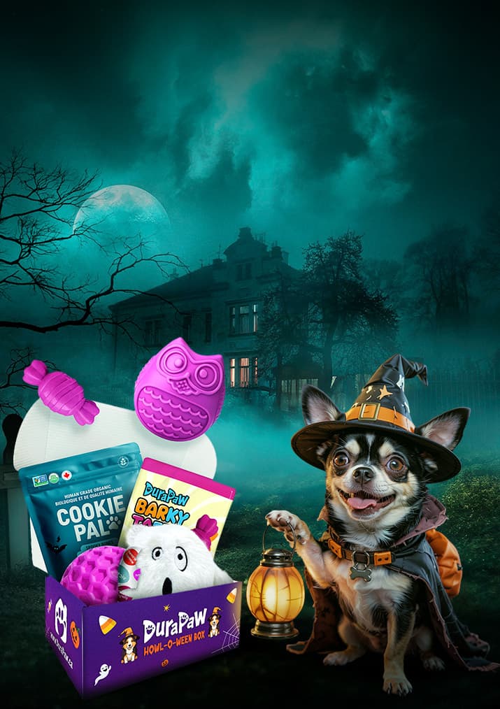 Night of the Walking Dog