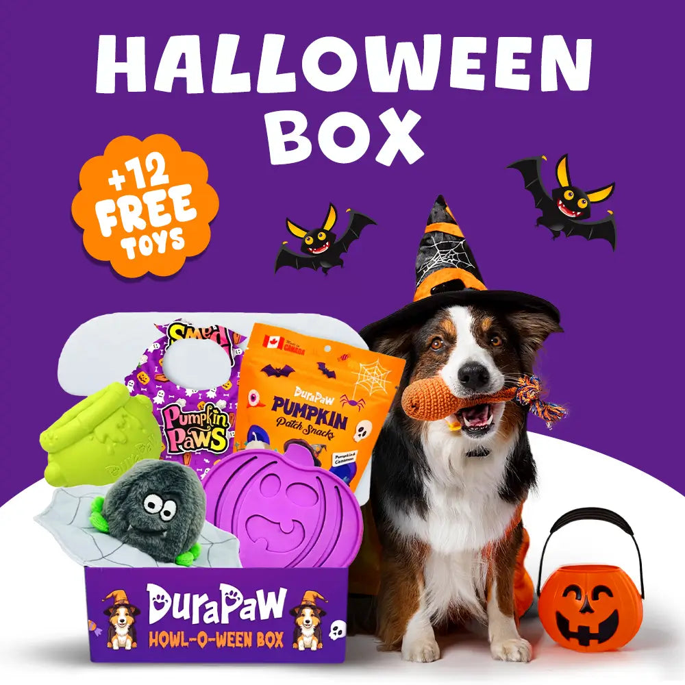 DuraPaw Box - Premium Monthly Dog Subscription Box in Canada