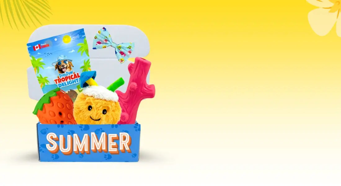 Holiday Dog Puppy Gift Present Toy Boxes