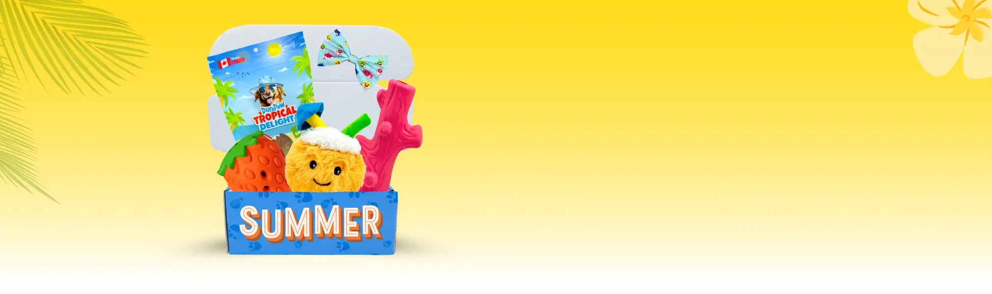 Holiday Dog Puppy Gift Present Toy Boxes