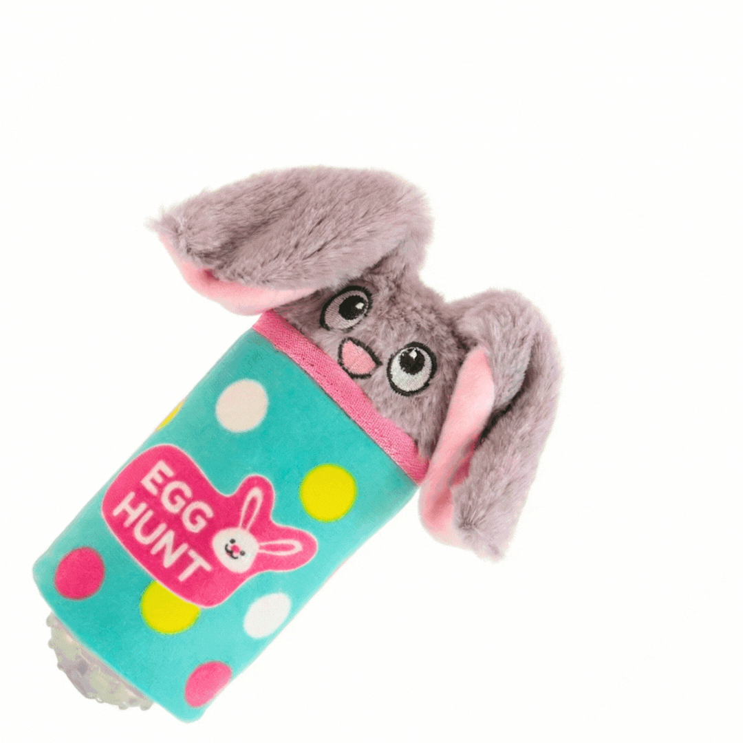 DuraPaw hoppy bunny squeeze engaging dog plush toy