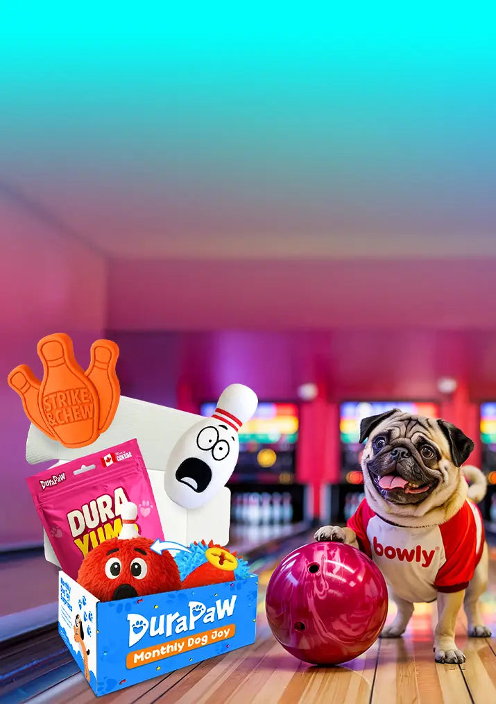 Bark N Bowl Bonanza