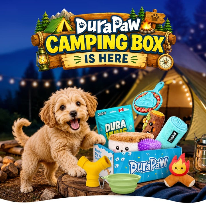 DuraPaw Camp DuraPaw monthly themed dog subscription box — camping drop mobile banner
