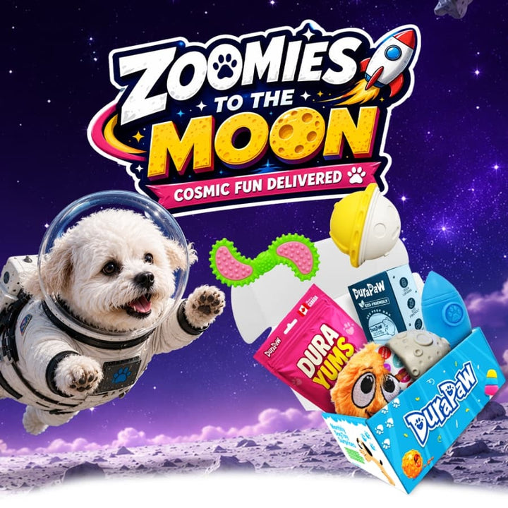 Promotional graphic for DuraPaw Zoomies to the Moon monthly themed subscription box with a dog in an astronaut suit on the moon.