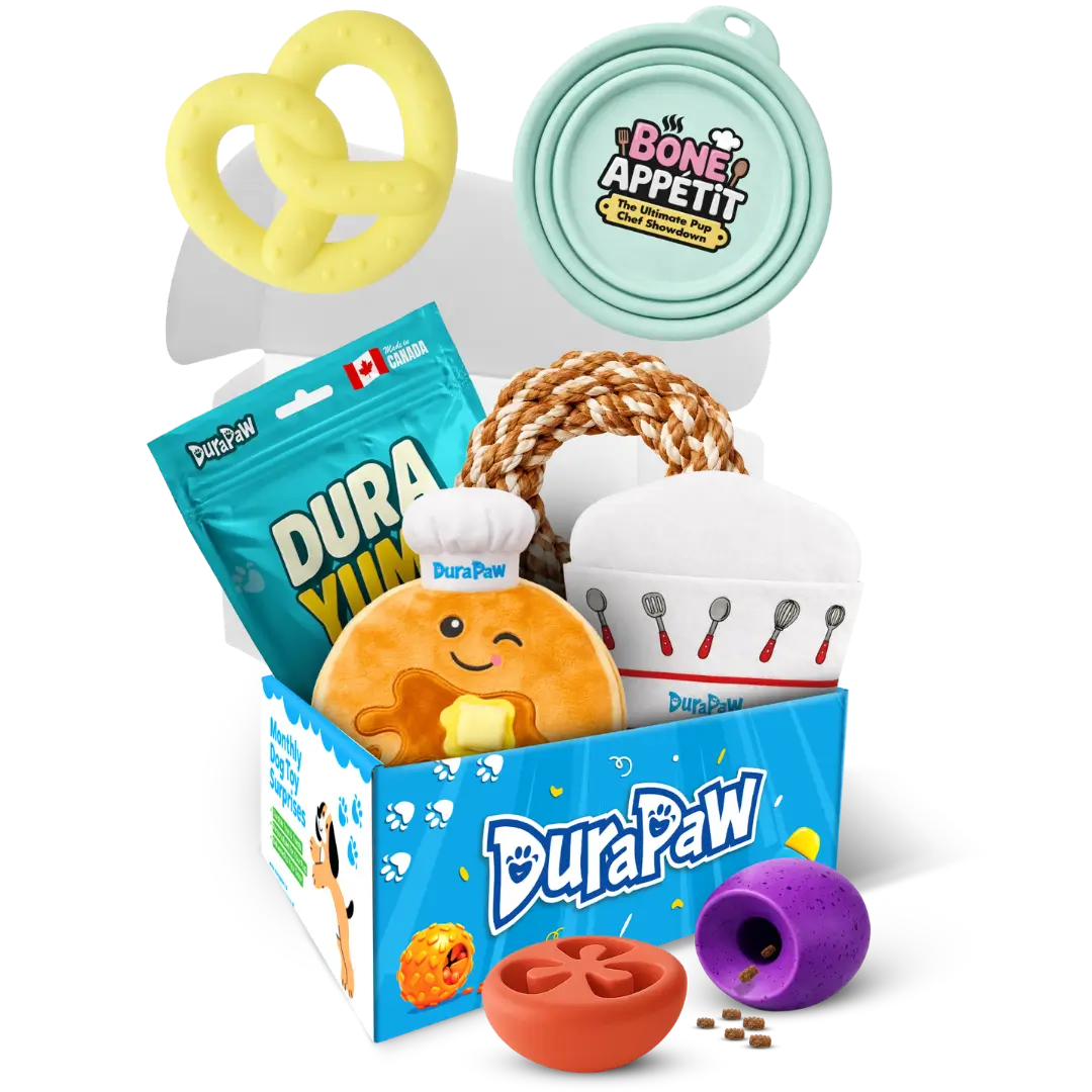 Bone Appétit: Fresh Out the Barkery Monthly Dog Toy Subscription Box Theme