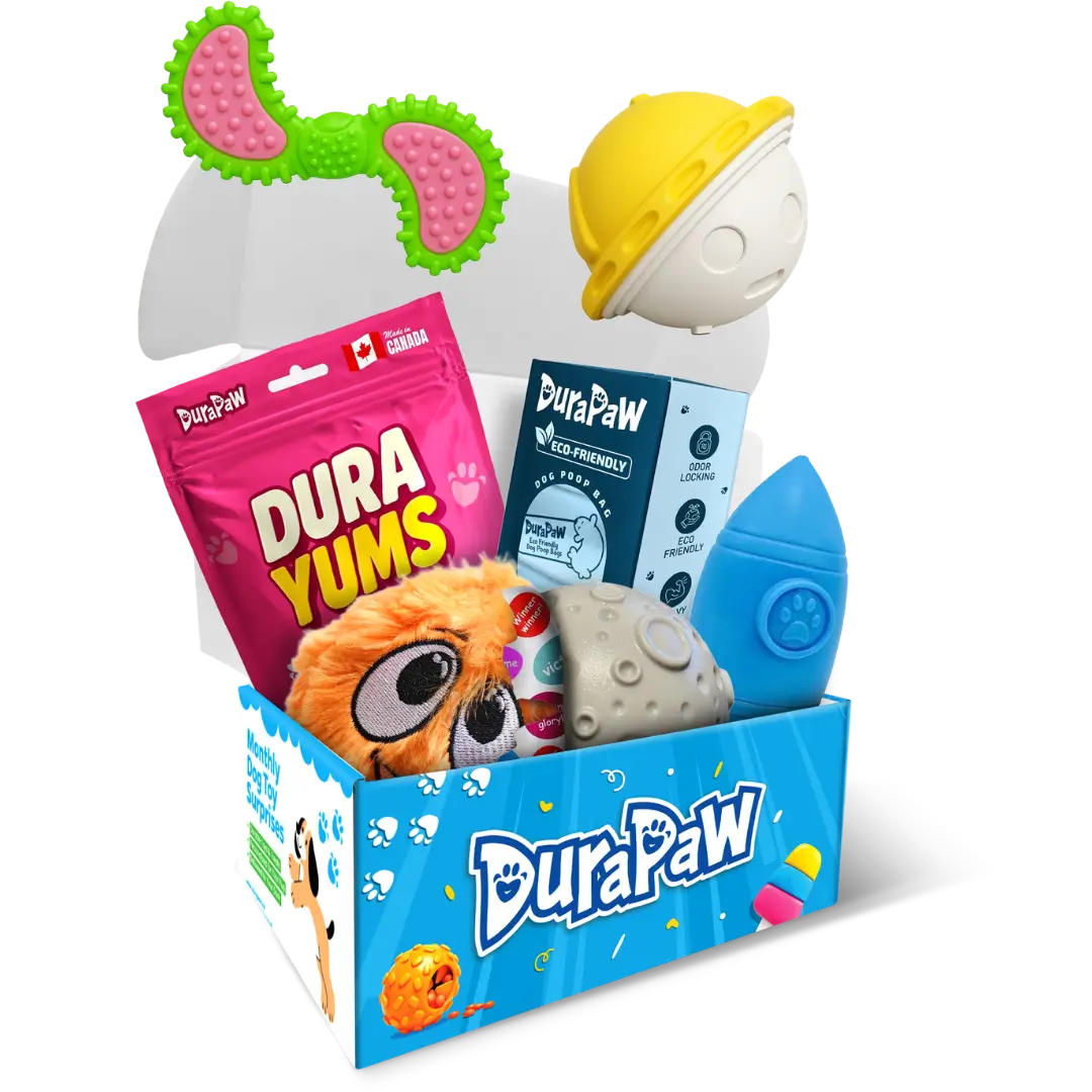 Zoomies to the Moon Monthly Dog Toy Subscription Box Theme