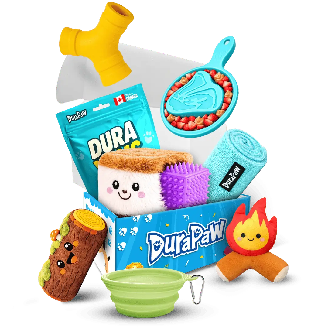 DuraPaw Camp DuraPaw monthly dog toy subscription box — camping theme featuring outdoor adventure toys and treats for dogs