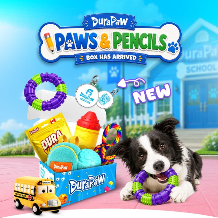 DuraPaw Paws and Pencils back-to-school themed Canadian dog subscription box mobile banner featuring durable toys and Canadian-made treats for dogs of all chew levels.