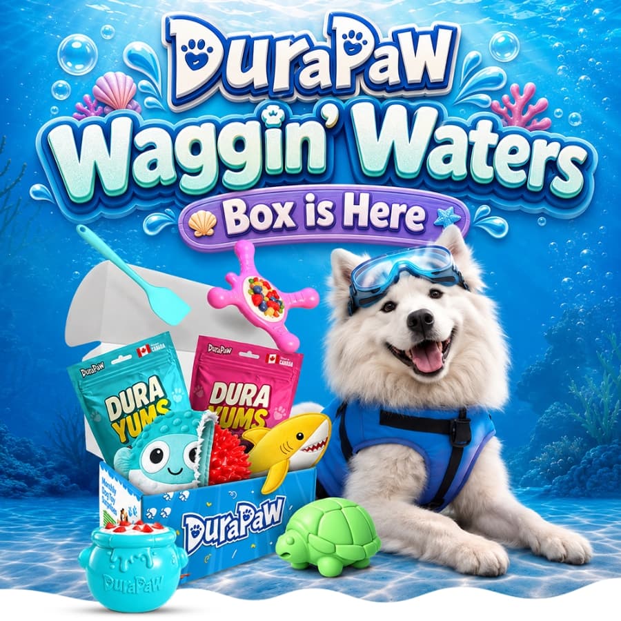 Wagging Waters: Reef Gone Ruff