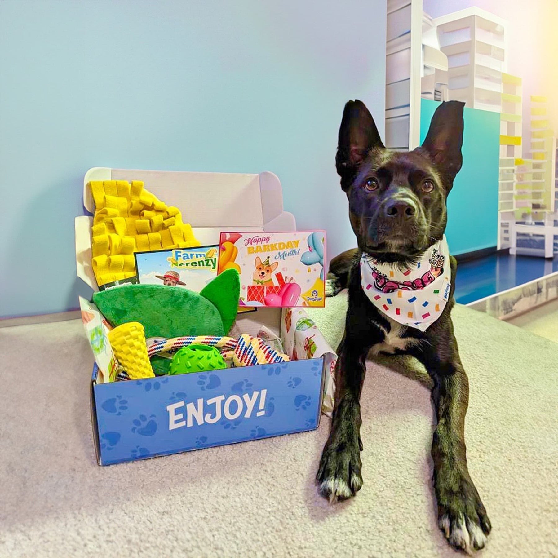 Cute Puppy Posing With DuraPaw Dog Subscription Box