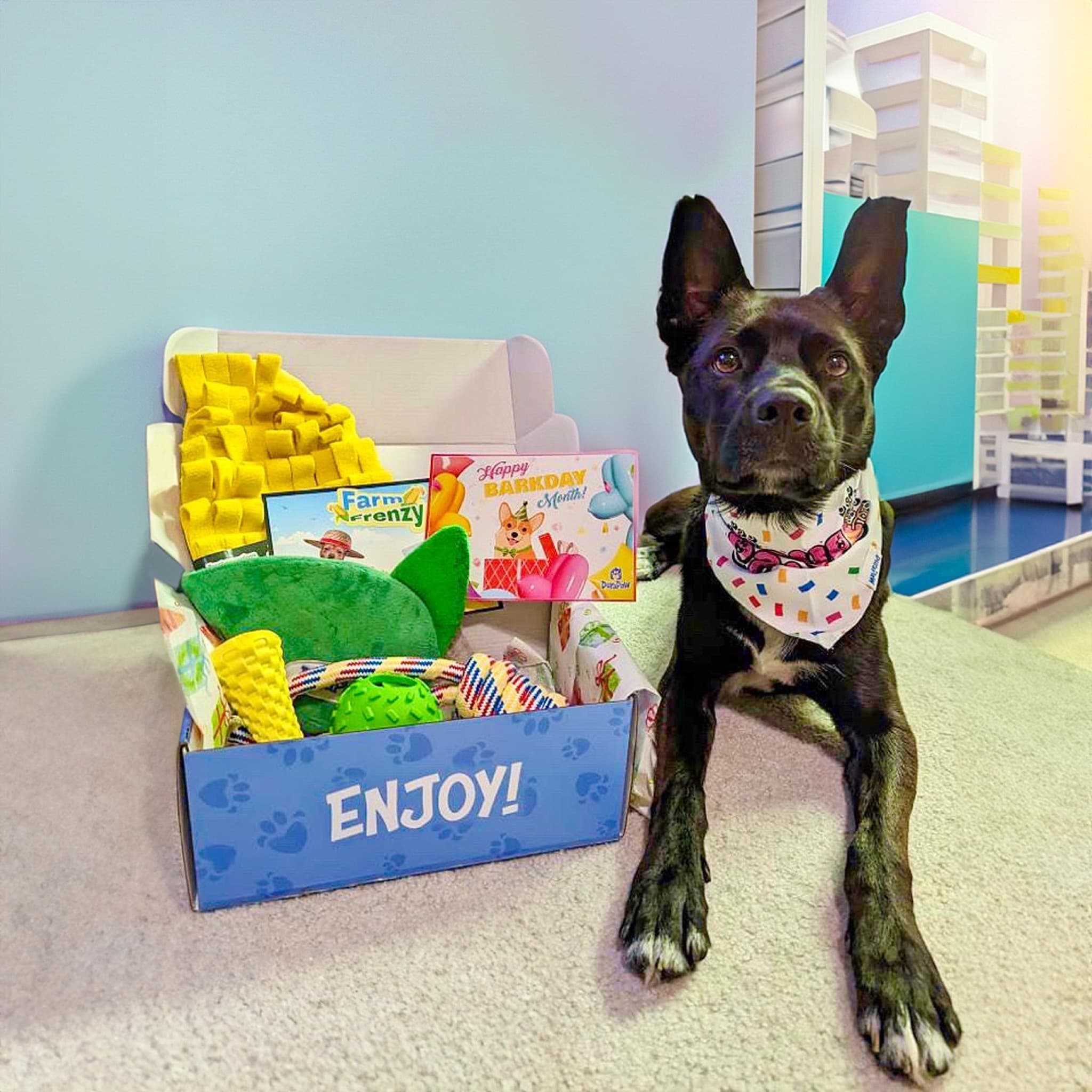 BarkBox - The Monthly Dog Toy and Treat Box