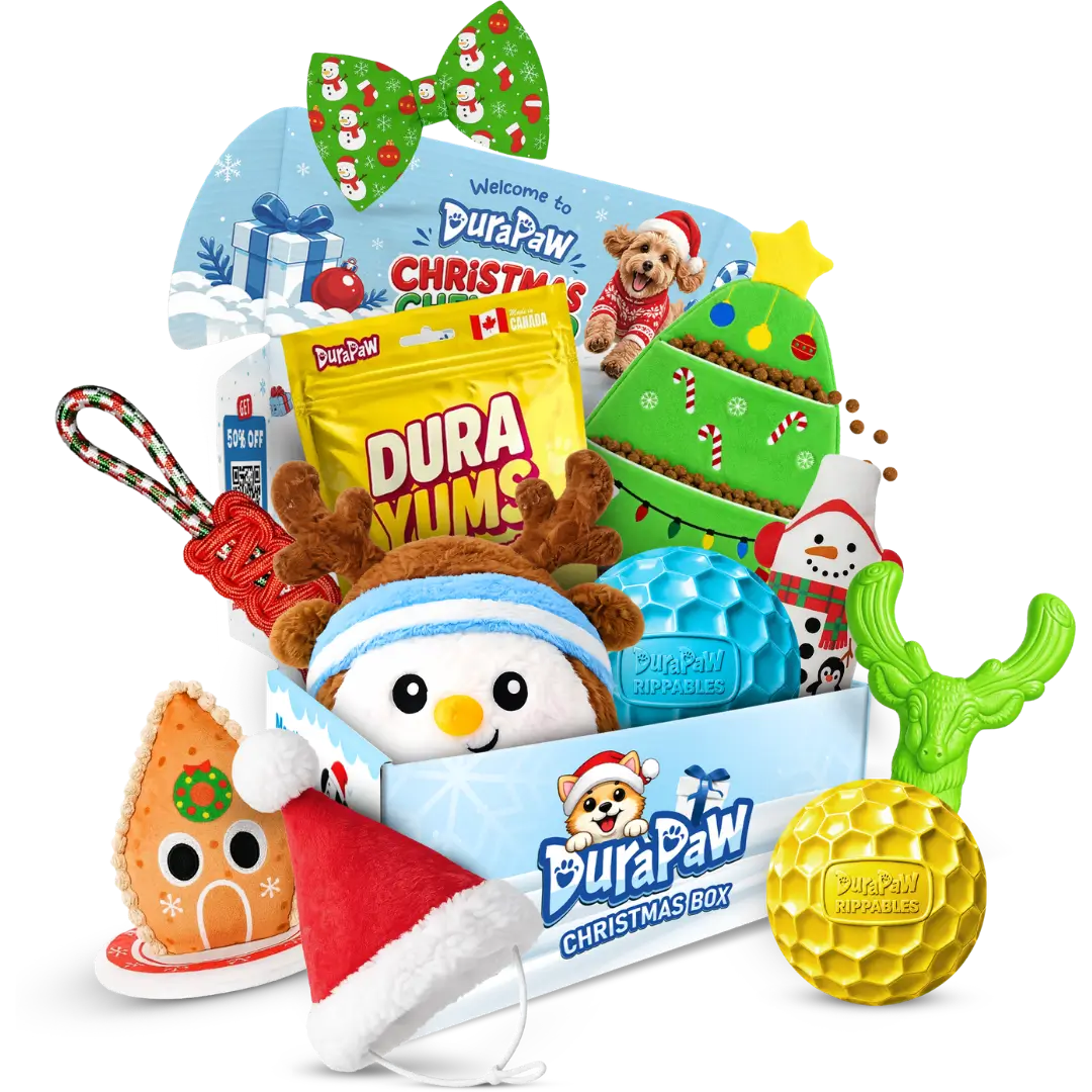 Holiday dog toys and treats filling a blue DuraPaw box, including a green Christmas tree toy, a penguin plush and a candy cane