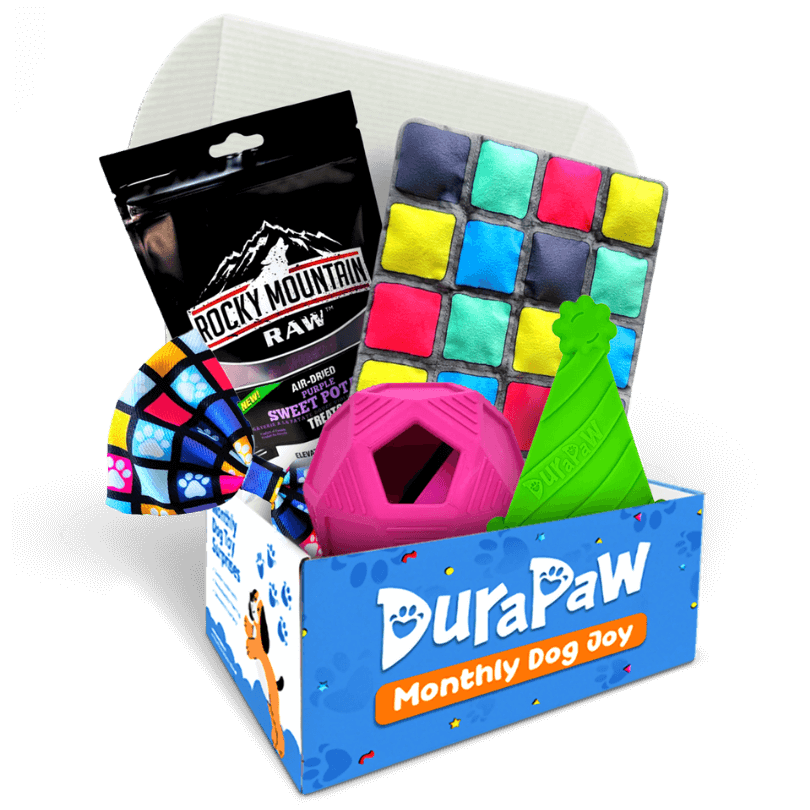 Disco Pup Pawty Box Monthly Dog Toy Subscription Box Theme