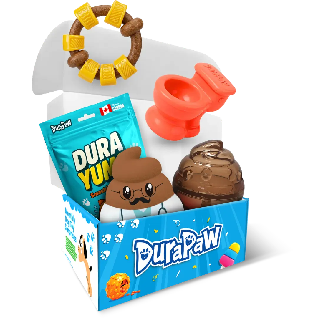 DuraPaw monthly themed dog toy box set with various dog toys and treats in a box on a white background