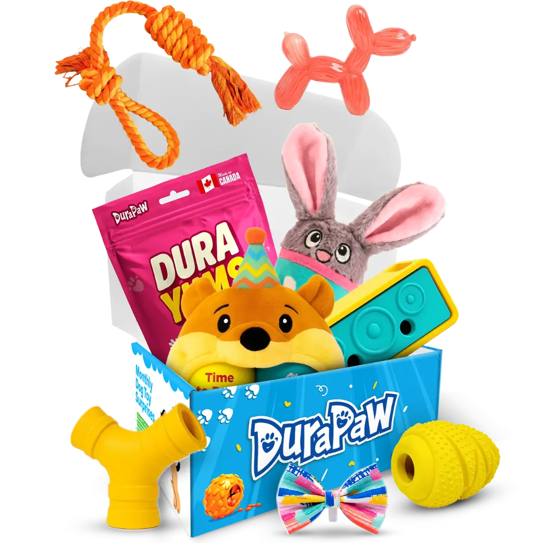 Jokes on Chew Themed Box Monthly Dog Toy Subscription Box Theme