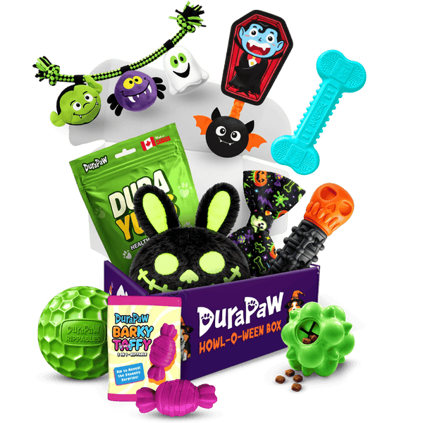 Glow in the Bark Halloween dog toy collection from DuraPaw featuring a spooky black character toy, a vampire coffin toy, a glow in the dark bone, a green spiky glow ball, and Canadian dog treats on a white background