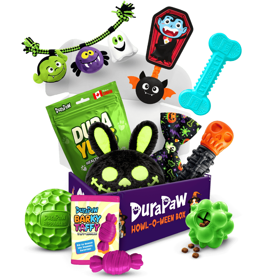 Glow in the Bark Halloween dog toy collection from DuraPaw featuring a spooky black character toy, a vampire coffin toy, a glow in the dark bone, a green spiky glow ball, and Canadian dog treats on a white background