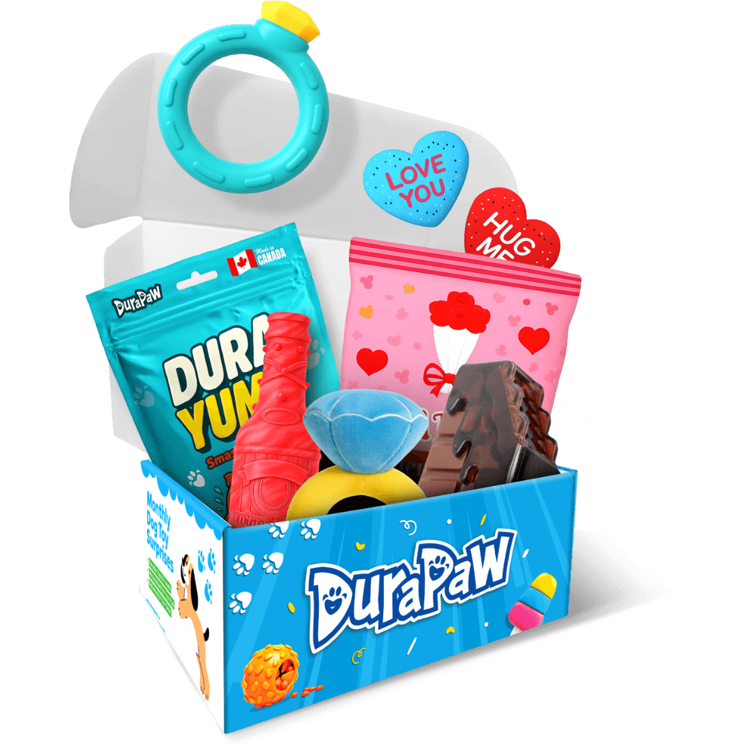 DuraPaw Valentines themed dog subscription box pet product set with toys and treats in a box on PNG background