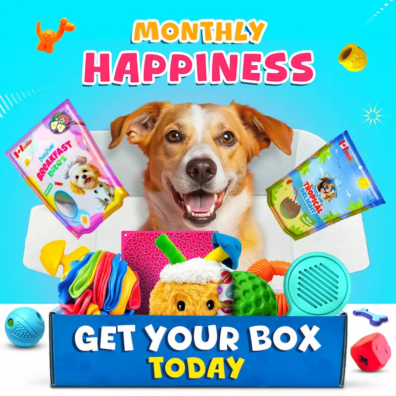 DuraPaw Dog Toy Subscription Box Canada
