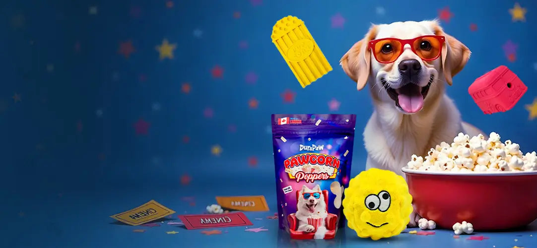 DuraPaw Movie Night Themed Flicks N Licks Monthly Dog Toy Treat Subscription Box